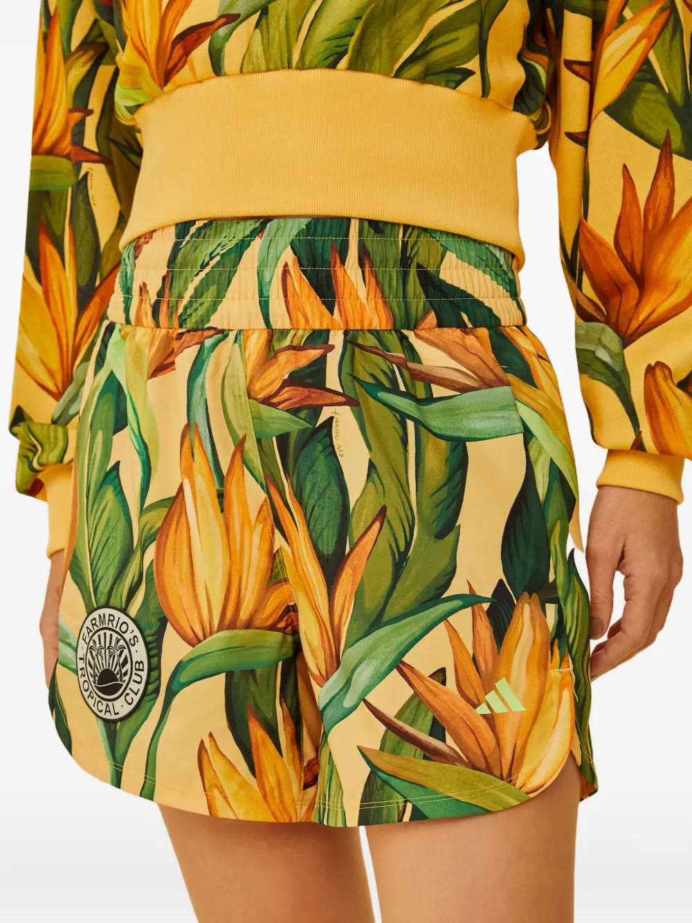 Farm Rio Floral-print Elastic-waist Shorts In Multi