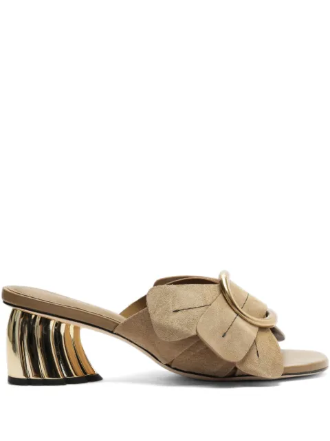 FARM Rio Daisy mules