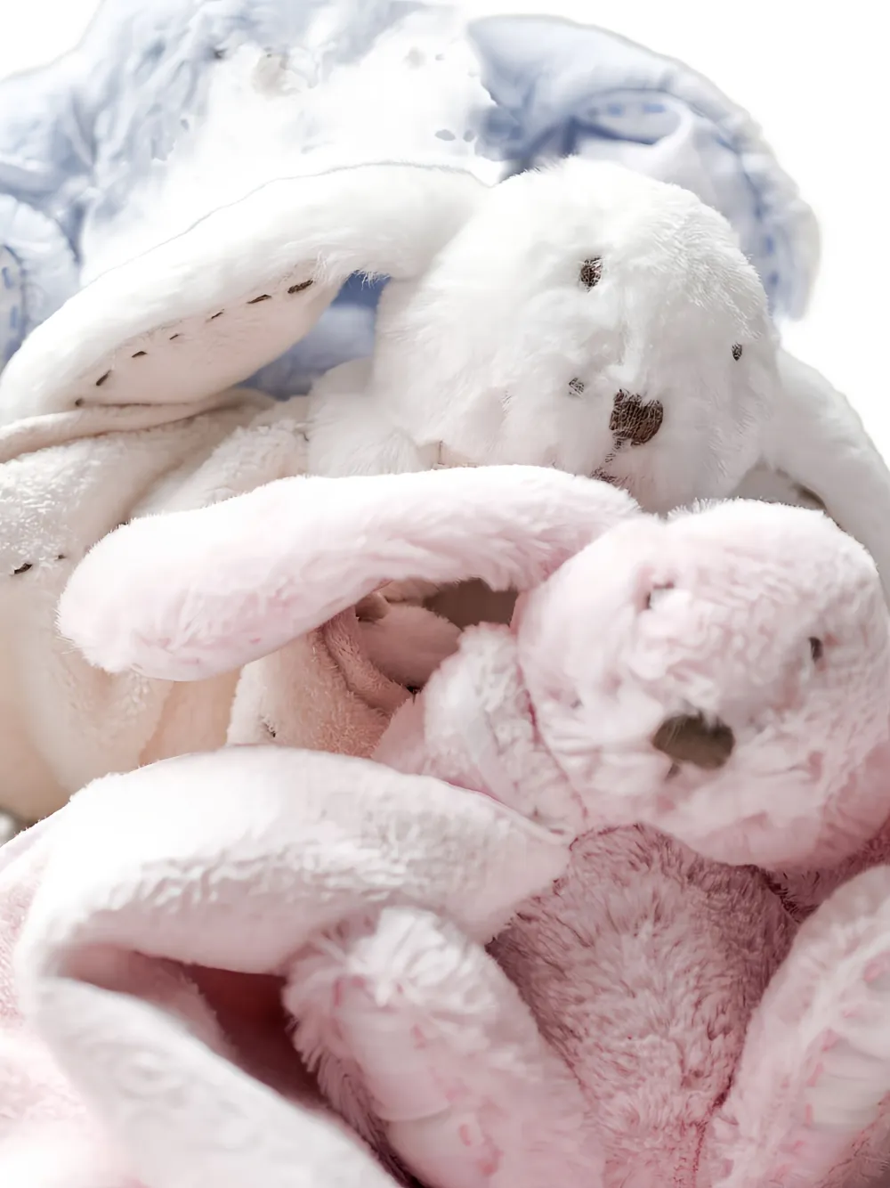 Tartine Et Chocolat rabbit doudou - Wit