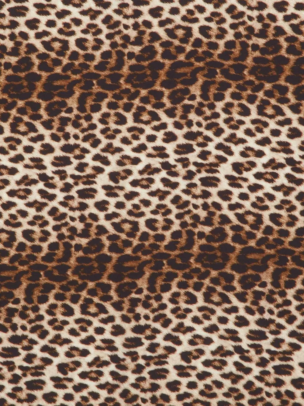 Lanvin Pre-Owned leopard-print scarf | Image 2