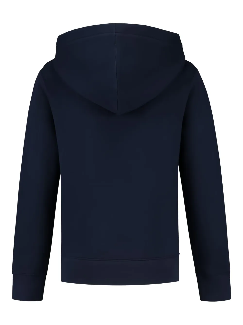Polo Ralph Lauren Katoenen hoodie Blauw