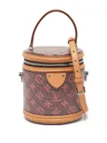 Louis Vuitton Pre-Owned Cannes monogram handbag - Brown
