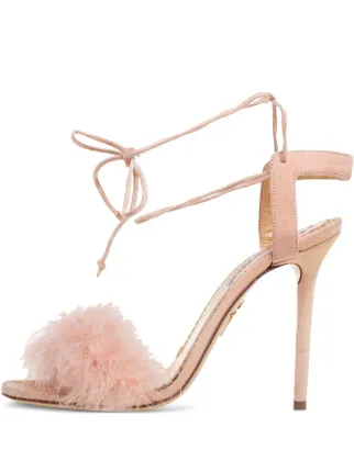 Charlotte Olympia