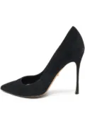 Sergio Rossi Vintage 2024 pre-owned 100mm pointed-toe stiletto pumps - Black