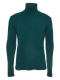 Bottega Veneta Pre-Owned roll-neck ribbed jumper - Green