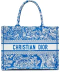 Christian Dior Pre-Owned 2024 Book tote bag - Blue