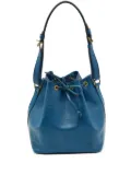 Louis Vuitton Pre-Owned Petit Noé bucket bag - Blue
