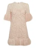 Dolce & Gabbana Pre-Owned feather-trim mini dress - Pink