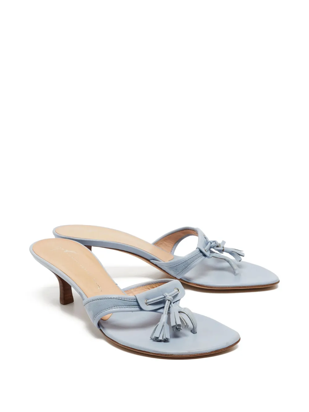 Giuseppe Zanotti Vintage Pre-owned 65 mm sandalen verfraaid met kwastje - Blauw