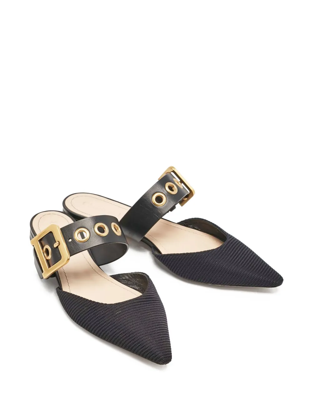 Christian Dior Pre-Owned D-Dior muiltjes met puntige neus en gesp - Zwart