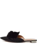 Aquazzura Powder Puff pointed-toe mules - Black