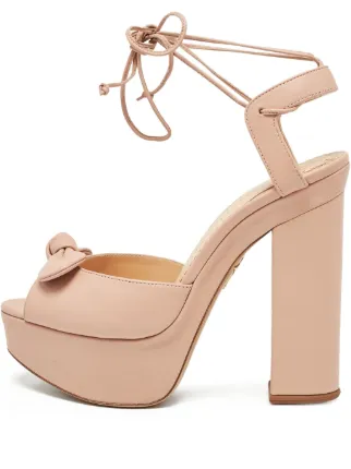 Charlotte Olympia
