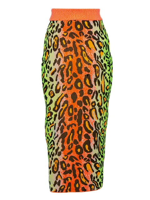 Stella McCartney Pre-Owned Jacquard-Rock mit Leopardenmuster