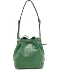 Louis Vuitton Pre-Owned Borneo bucket bag - Green