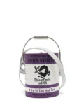 Louis Vuitton Pre-Owned monogram bucket bag - Purple