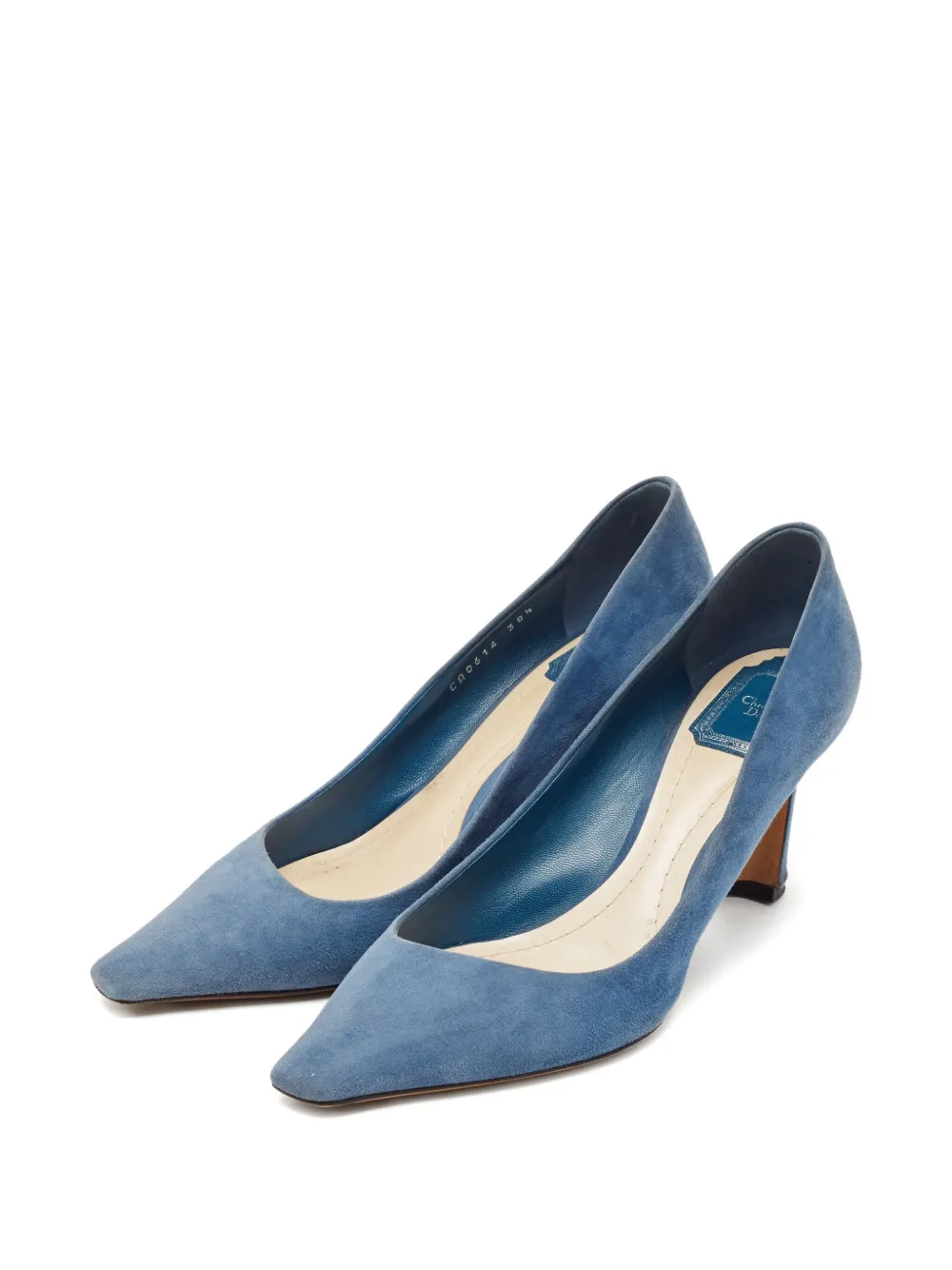 Christian Dior Pre-Owned Pumps met puntige neus - Blauw
