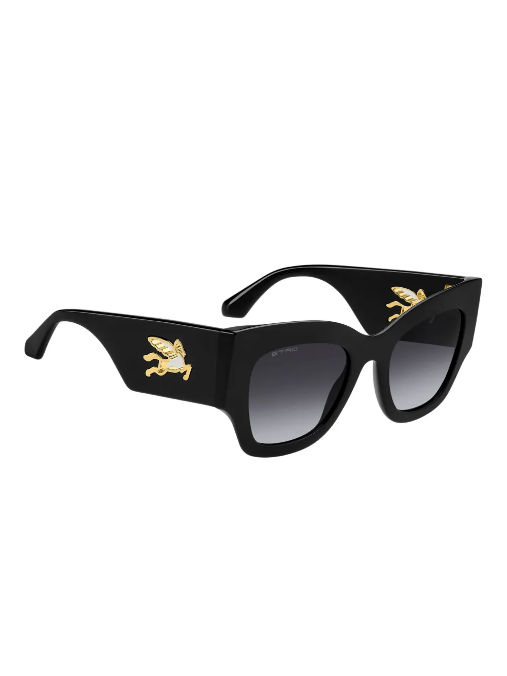 ETRO mania zonnebril Zwart