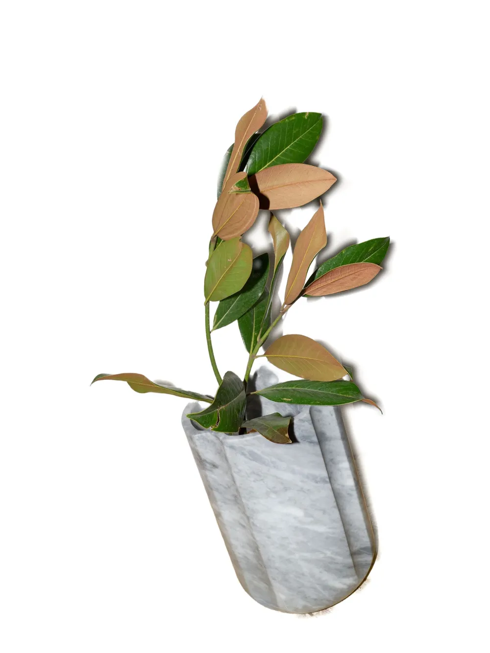 Editions Milano Arch vase (35cm x 24.5cm) - Grijs