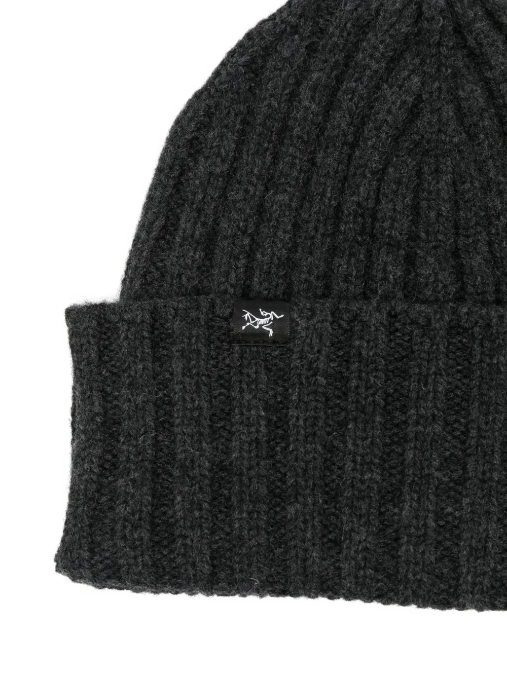 Arc'teryx Ribbed Beanie In Black