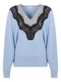 Stella McCartney v-neck sweater - Blue