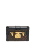 Louis Vuitton Pre-Owned Petit Malle clutch bag - Brown