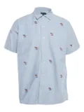 Polo Ralph Lauren Vintage 2024 flag-embroidery shirt - Blue