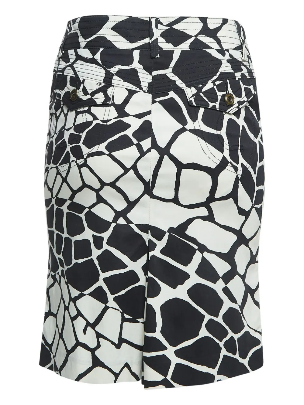 Roberto Cavalli Vintage Midi-rok met print - Zwart