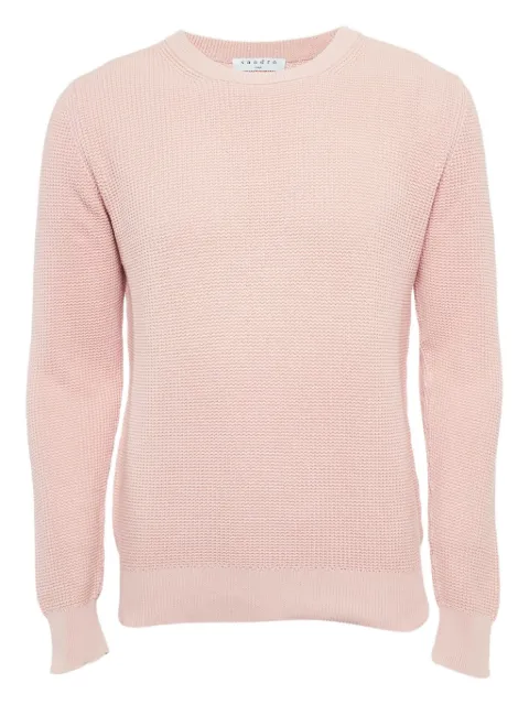 SANDRO cotton knit sweater