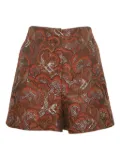 SANDRO 2023 patterned-jacquard shorts - Brown