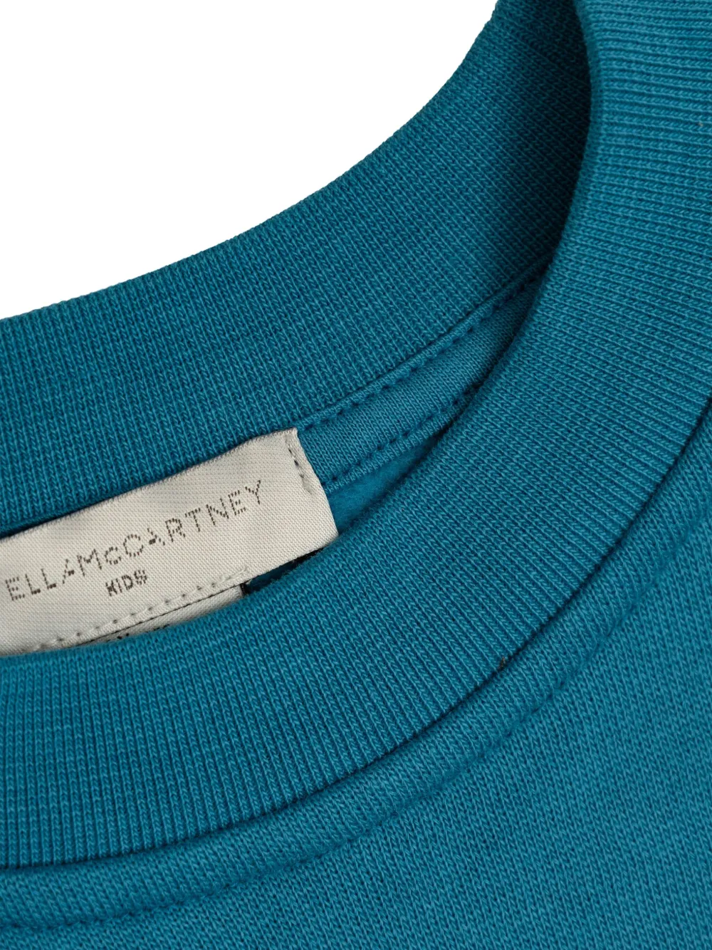 Stella McCartney Kids Sweater met grafische print Blauw