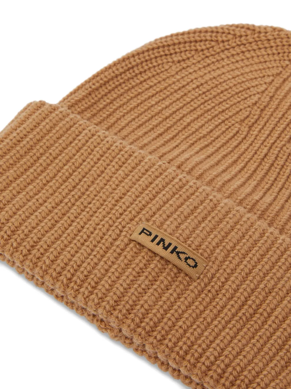 Pinko Ribbed Beanie In Brown