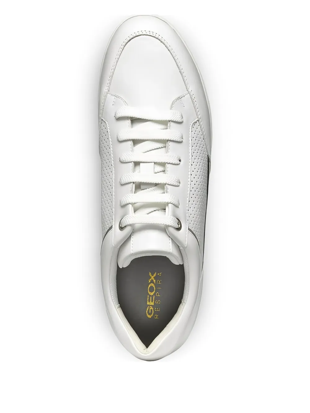 Geox Myria perforated leather sneakers White