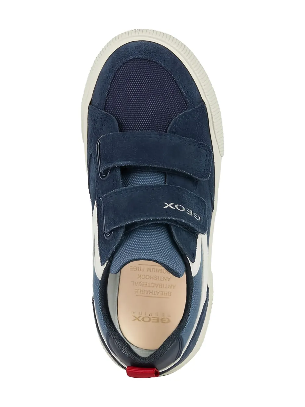 Geox Kids Alphabeet sneakers Blue