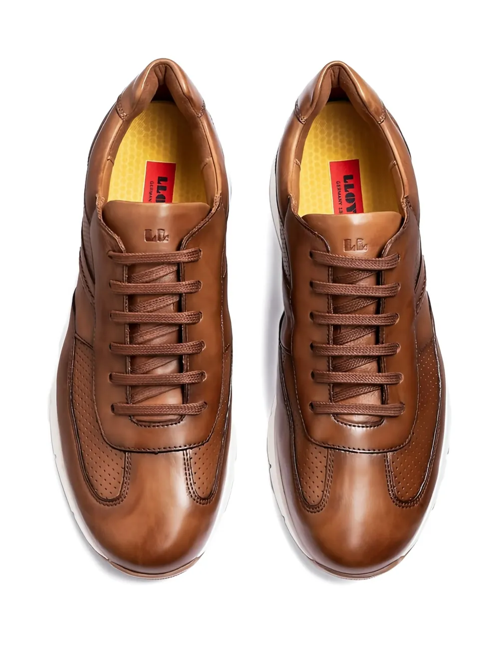 Lloyd Adlay perforated leather sneakers Brown