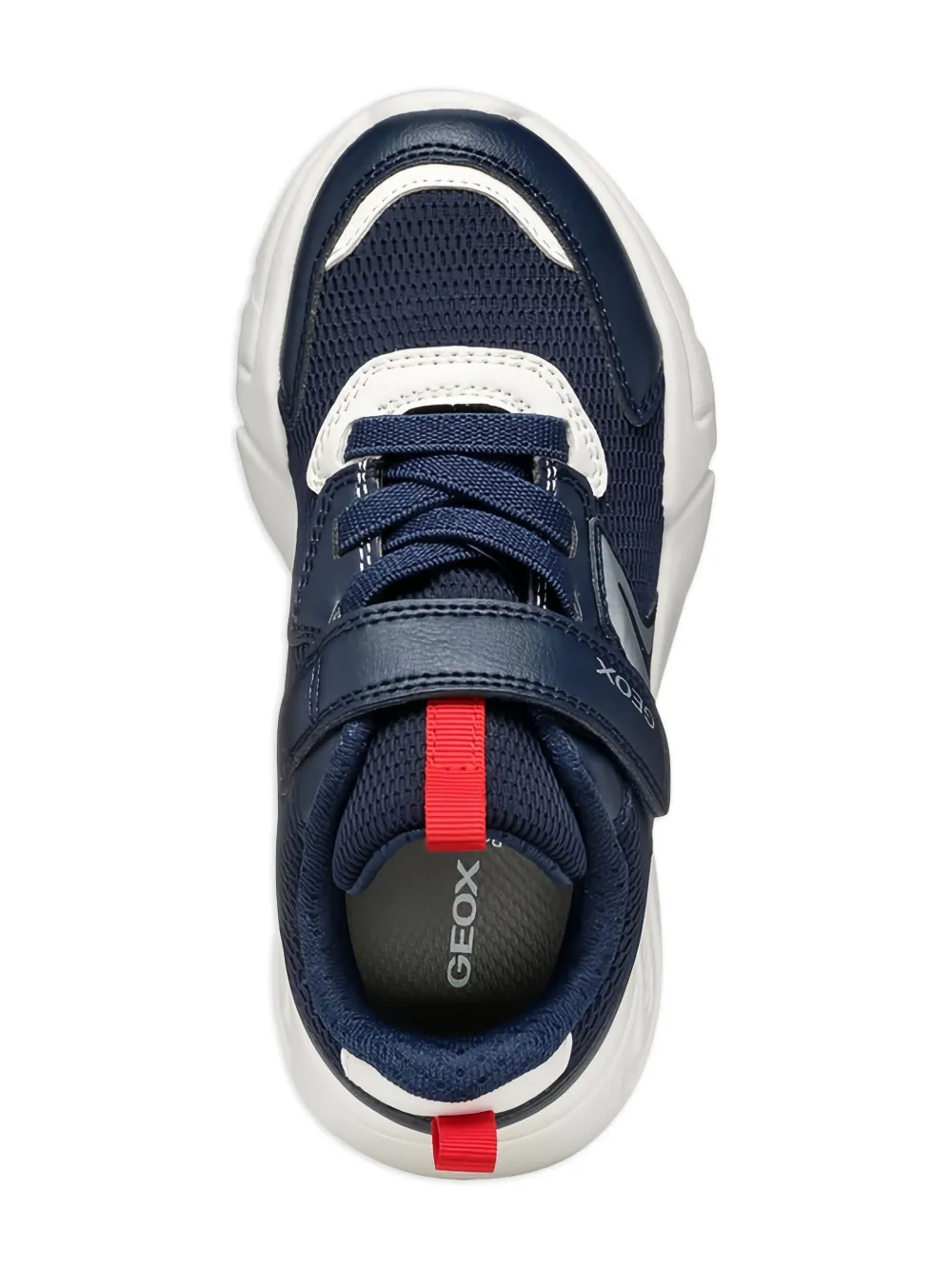 Geox Kids Loftus sneakers Blue