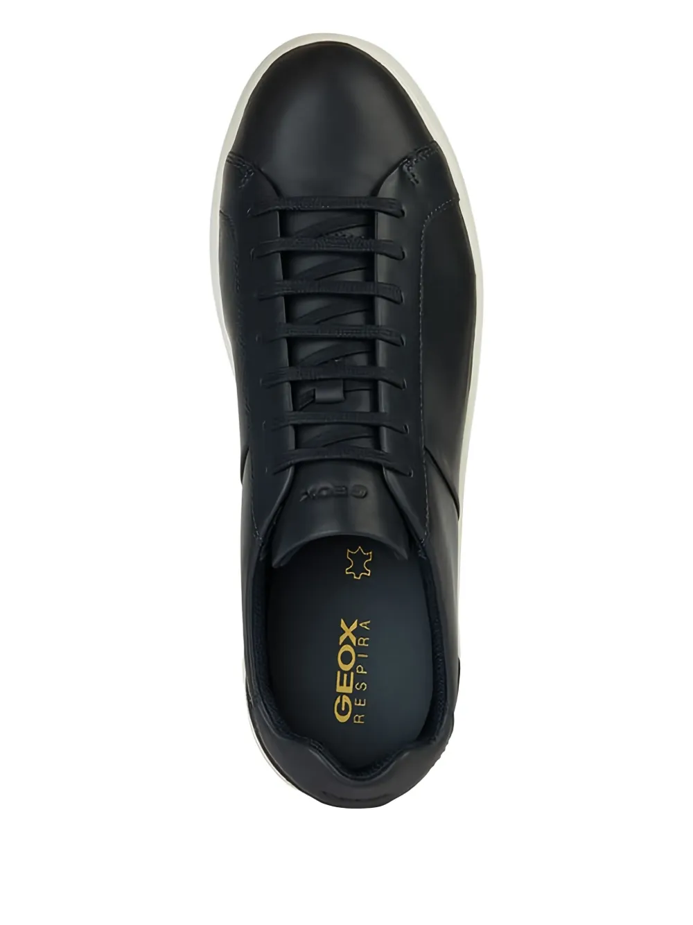 Geox Regio leather lace-up trainers Black