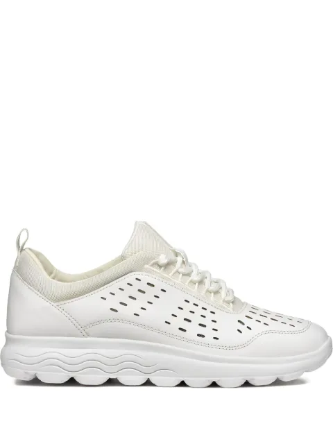 Geox Spherica perforated lace-up sneakers