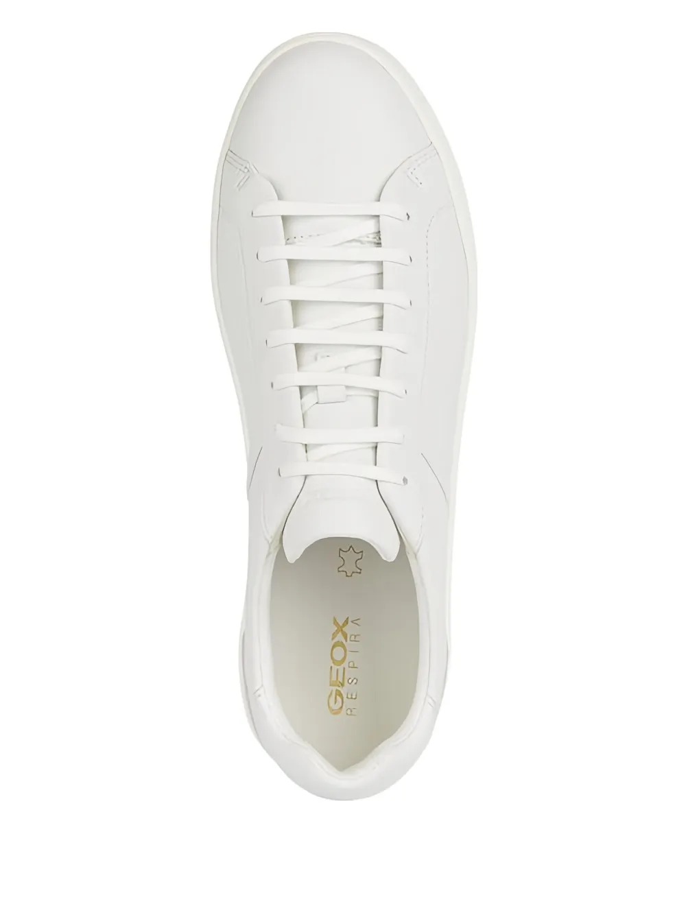 Geox Regio sneakers Wit