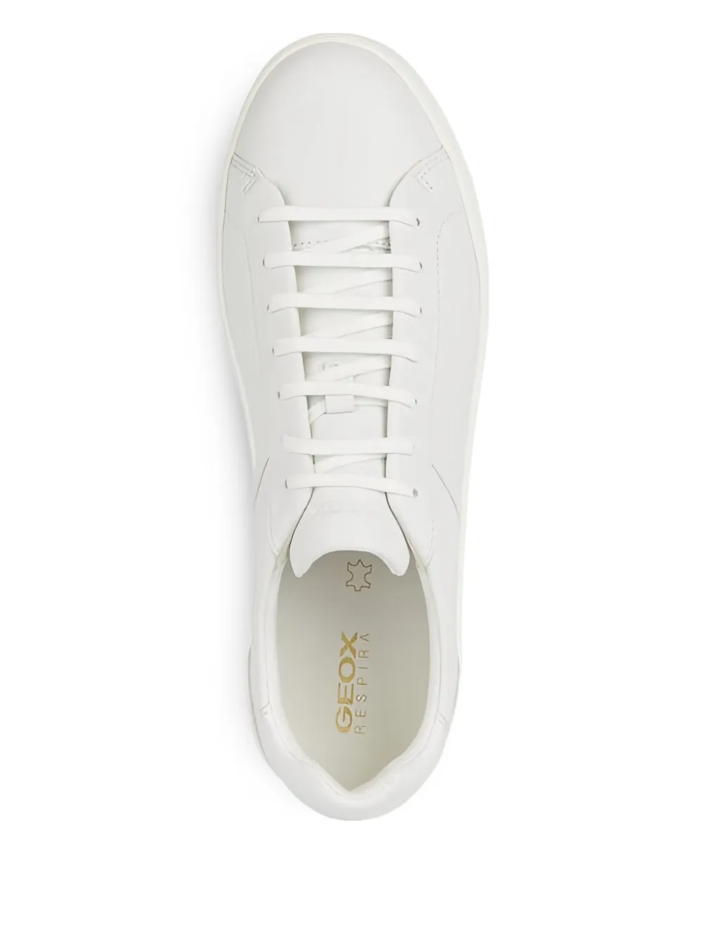 Geox Regio lace-up sneakers White
