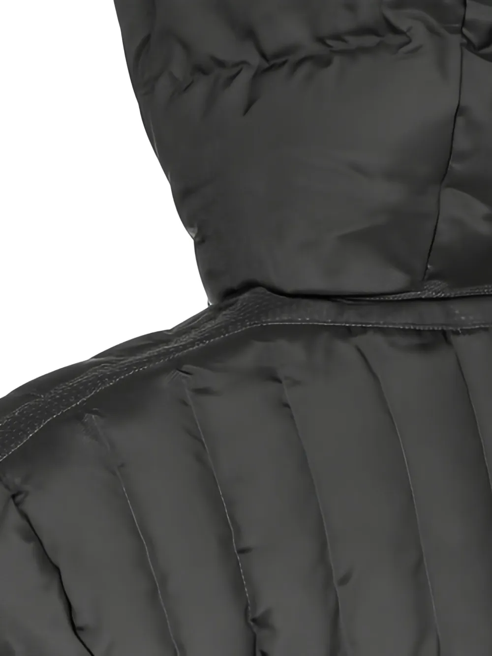 Geox Sandford jack met capuchon Grijs
