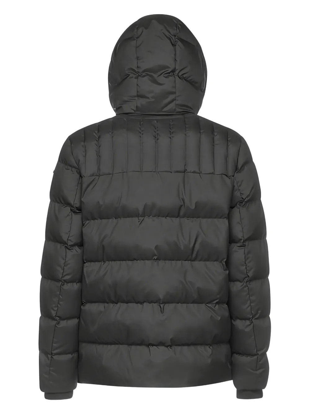 Geox Sandford jack met capuchon Grijs