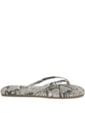 Tkees Studio Exotic flat sandals - Brown