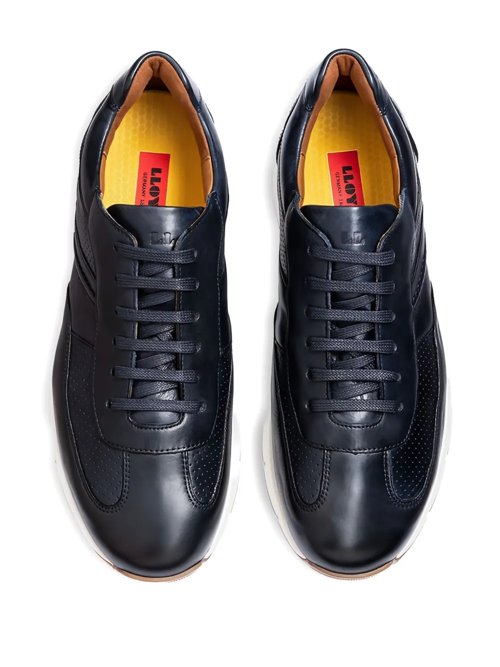 Lloyd Adlay perforated leather sneakers Black