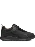 Geox Terrestre Leisure trainers - Black