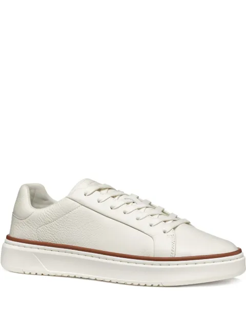Geox Zackerty sneakers