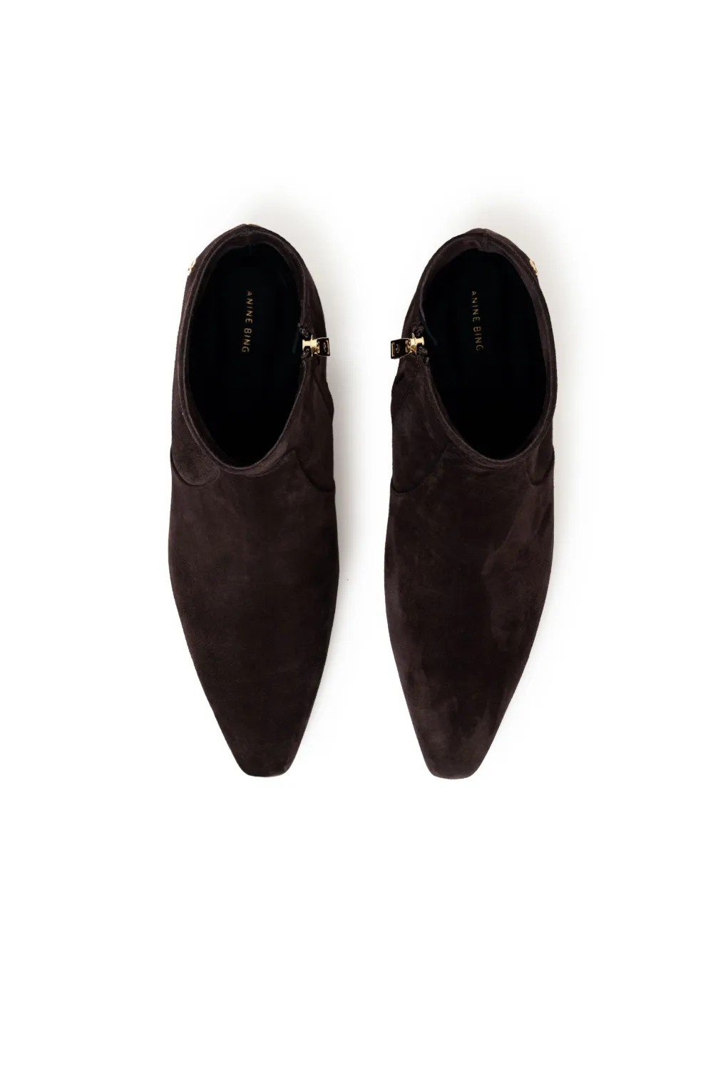 Anine Bing Freya Pointed-toe Boots In Brown