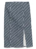 Christian Dior Pre-Owned 2002 Trotter skirt - Blue