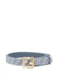 FENDI FF-jacquard belt - Blue