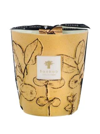 Baobab Collection