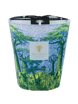 Baobab Collection